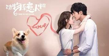 动物系恋人啊在线观看,一场跨越物种的浪漫奇遇  第1张